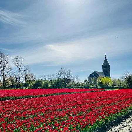 Holiday home Nieuwland *