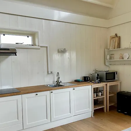 Nieuwland Holiday home