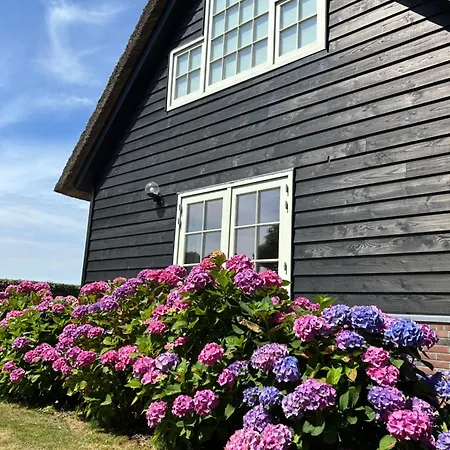 Nieuwland Holiday home
